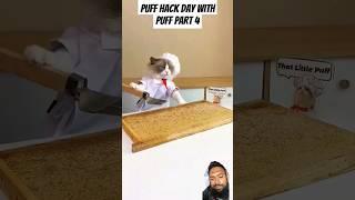 Dont try this at home Hack day with Puff part 4 #littlepuff #thelittlepuff #puffknowsbetter #hack