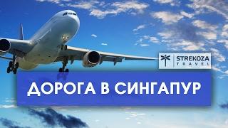 Прилетел в Сингапур. ТРИП ПО АЗИИ  Куда пойти в Сингапуре? STREKOZA Travel