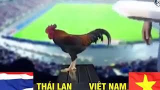 THẦN KÊ SOI KÈO TRẬN VIỆT NAM - THÁI LAN TRỰC TIẾP TỐI NAY