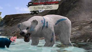 The Wolf - Polar Bear Champion  Im Back On MY Big Accounts