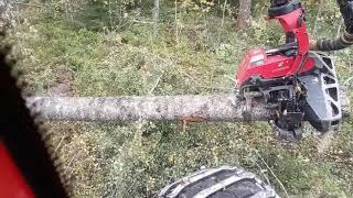 Komatsu 901xc vs Birch trees