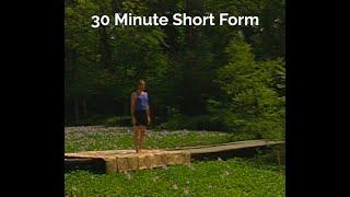 Short Form 30 Min  1995 Ashtanga Yoga - David Swenson