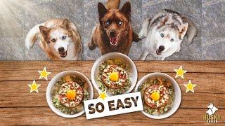 Kibble to Raw Food - HOW & WHY I Transitioned My Dogs  Husky Squad