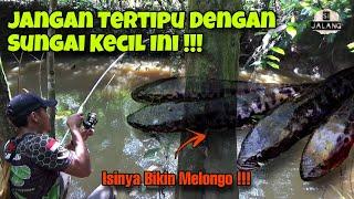 Jangan Pernah Tertipu Dengan Sungai Kecil Seperti Ini