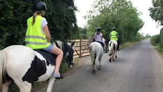 Family days out along the North Coast - A scenic family hack