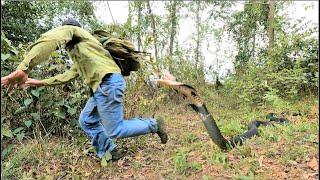 The terrifying moment a man was attacked by a ferocious cobra while chopping firewood in the forest.