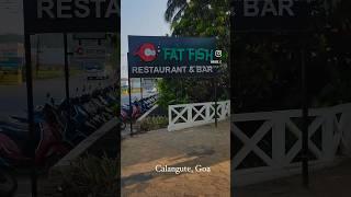 Fat Fish Calangute Goa must try in goa #goa #goanfood #calangute #fishfry #fatfish #goadiaries