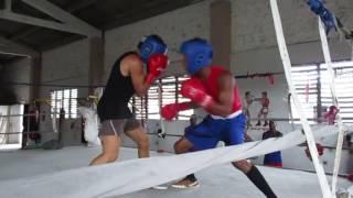 Cuba Boxing sparring training