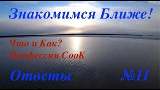 Как готовить без рецепта? Больная тема моей Импровизации на камбузе Заморозка продуктов Ответы №11