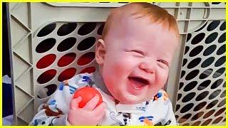 Cute And Funny Baby Laughing Hysterically Compilation  5-Minute Fails