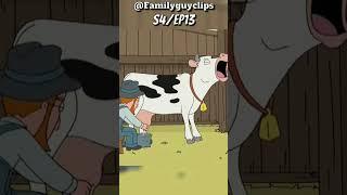 Happy Peter   Family guy Funny moments 