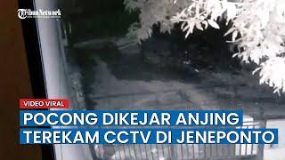Viral di Sosmed Pocong Terekam Kamera CCTV di Jeneponto Dikejar Anjing