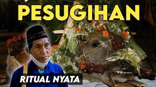 RITUAL PESUGIHAN NYATA ‼️ GUNUNG KEMUKUS