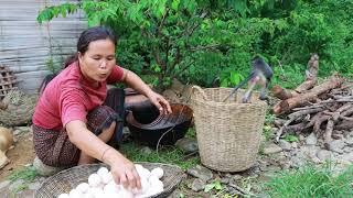 survival in the rainforest-women found goose egg in the forest for cook -Eating delicious HD