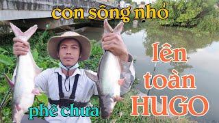 Fishing T2 Câu cá tra sông sài gòn con sông nhỏ mà toàn là hugo @Lâm Hậu Giang Vlog