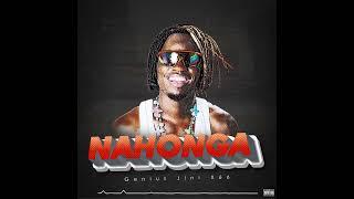 Geniusjini x66 _Nahonga  Amapiano  Bonus Track-