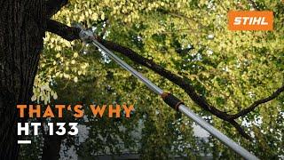 STIHL HT 133 pole pruner  Light weight & high power  Thats why