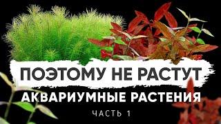 Почему не растут растения в аквариуме? Часть 1. Параметры воды для аквариумных растений