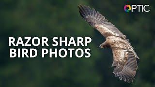 Matt Kloskowski Fast Action Razor Sharp Bird Photography  #BHOPTIC