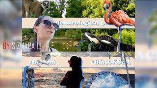 SUMMER 2020  EP 2 - Dendrological park - Batumi - mosquitoes  ENG SUB - ბათუმელი კოღოები
