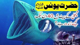 Hazrat Yunus AS  aur Machli Ka Waqia  Prophet johna AS History  Islamic Story