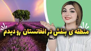 پر گل ترین منطقه ی افغانستان رو دیدم فوق العاده بود 🩵