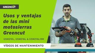 ¿Qué modelos de mini motosierras existen y cómo hay que utilizarlas?    Guía de Compra Greencut