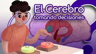 Pienso ¿Luego actúo? Cómo decide nuestro cerebro