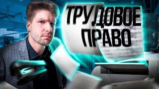 Все о трудовом праве за 8 минут  Обществозание ЕГЭ — Валентиныч