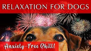 Relaxing Music for Dogs to Calm Down  GREAT FOR FIREWORKS