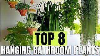 Create a Green Oasis Top 8 Hanging Bathroom Plants