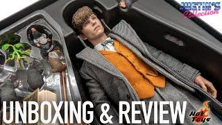 Hot Toys Newt Scamander Fantastic Beasts the Crimes of Grindelwald Unboxing & Review