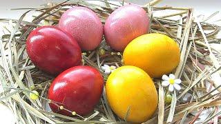 Как покрасить яйца на пасху натуральными красителями  Без химии   Три простых способа покраски