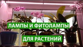 Лампы для растений обычные лампы и фитолампы для комнатных растений и рассады