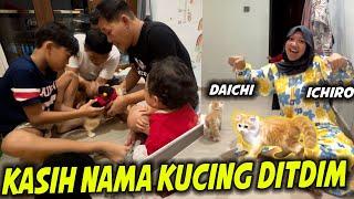 NAMA KUCING DIMAS.. BUNDA TERNYATA SAMPAI SEKARANG MASIH TAKUT KUCING