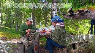 Домик в лесу  прохудилась крыша  лесной чай  ломаный подосиновик 