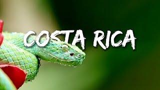 COSTA RICA IN 4K 60fps HDR ULTRA HD