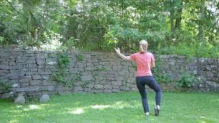 Tai Chi for Arthritis and Fall Prevention