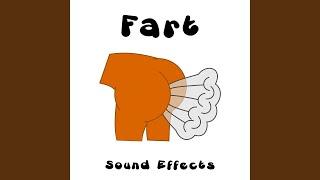 Fart 17