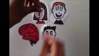 Brain Awareness Video Contest Prosopagnosia The Inability to Recognize Faces