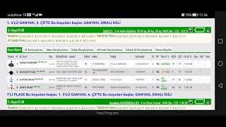 1 Ağustos 2024 Perşembe Ankara at yarışı tahminleri Ankara altılı ganyan tahminleri