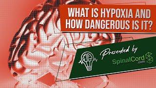 Hypoxia Definition Causes Symptoms and Treatment. What is hypoxia and how dangerous is it?