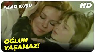 Azad Kuşu - Allahım Oğlumu Bana Bağışla  Tarık Akan Eski Türk Filmi