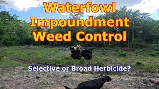 Controlling Weeds in a Waterfowl Impoundment with 24 D  Duck Hunting