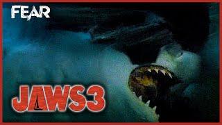 Shark Attacks The Dolphin Pen  Jaws 3  Fear