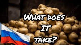 FAMILY FARM in Russia Potatoes