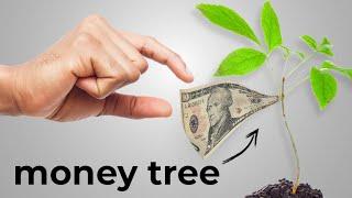 Money DOES Grow on Trees with Displate