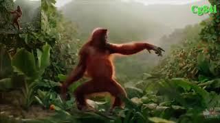 Kingkong Joget Syantik