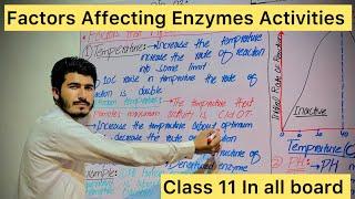 Factors Affecting Enzymes ActivitiesTemPH #mdcat biology