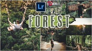 FOREST Lightroom Preset  FOREST preset  Free Lightroom presets #51